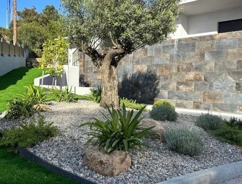 Création d’un mur en pierre et aménagement paysager à Ajaccio.